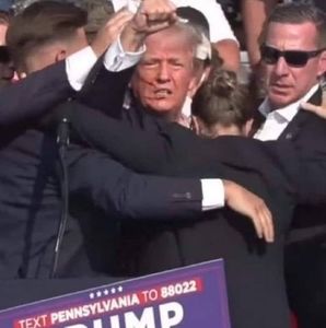 Meet your Posher, Patty